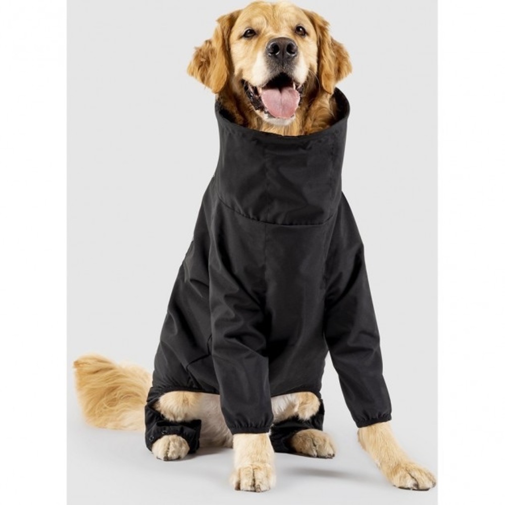 Black Dog Raincoat - Picture 3 of 8